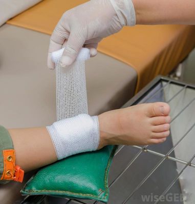 Vải vải vải vải vải vải vải vải vải vải vải vải vải vải vải vải vải vải vải vải vải vải vải vải vải vải vải