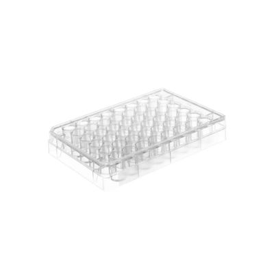 Đĩa nuôi cấy tế bào với bề mặt nuôi cấy được xử lý và đĩa 6 12 24 48 và 96 giếng có đáy phẳng