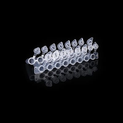 Nắp hình vòm 0,2ml Ống PCR 8 Dải có nắp kèm theo PCR Tám ống được kết nối